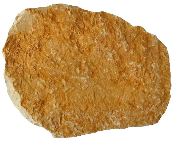 Pas japonais pour jardin Pierre de Bourgogne