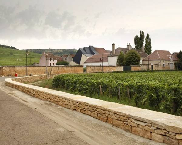 Couvertes en pierre de Bourgogne - Vosne-Romanée - Dessus de mur pierre naturelle Couvertes en pierre de Bourgogne - Vosne-Romanée - Dessus de mur pierre naturelle