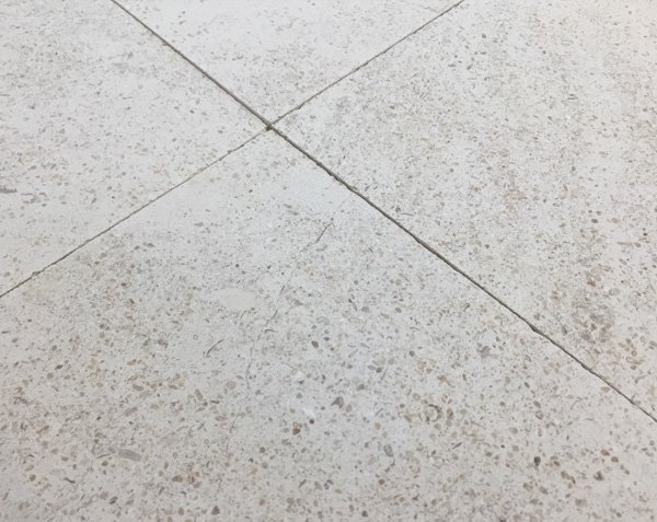 Natural Shell Limestone Buffon Strata 15 A passe - Honed Finish