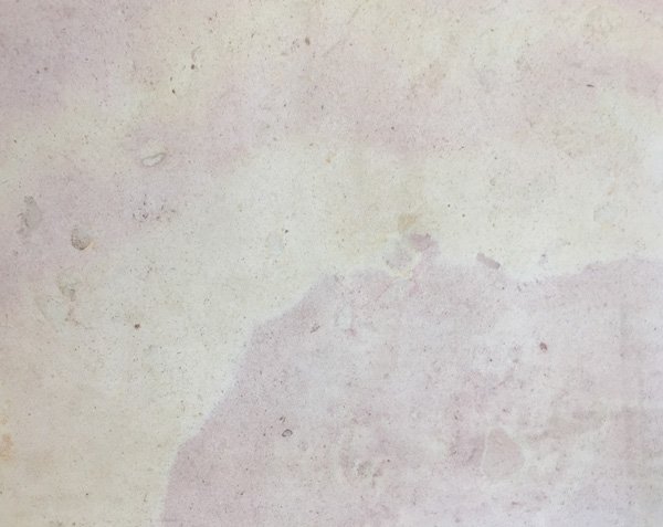 Chassagne Limestone - Violine Detail