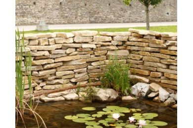 Mureuse de bourgogne - pierre à muret et moellon - Mur Pierre de Bourgogne Mureuse de bourgogne - pierre à muret et moellon - Mur Pierre de Bourgogne