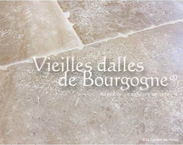 Achat Dalles anciennes - Ampilly