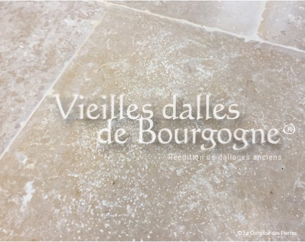 Vieilles Dalles de Bourgogne Paving & Cobble stones - Ampilly Vieilles Dalles de Bourgogne Paving & Cobble stones - Ampilly