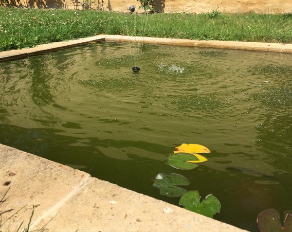 Small Stone Basin Small Stone Basin