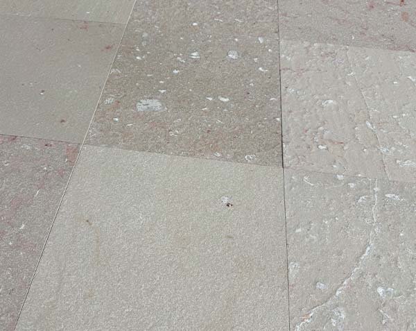 Burgundy limestone tiles - Côte d'or area