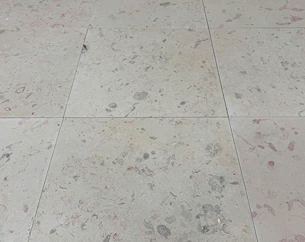 Stone slabs with shells - Rocherons Blended